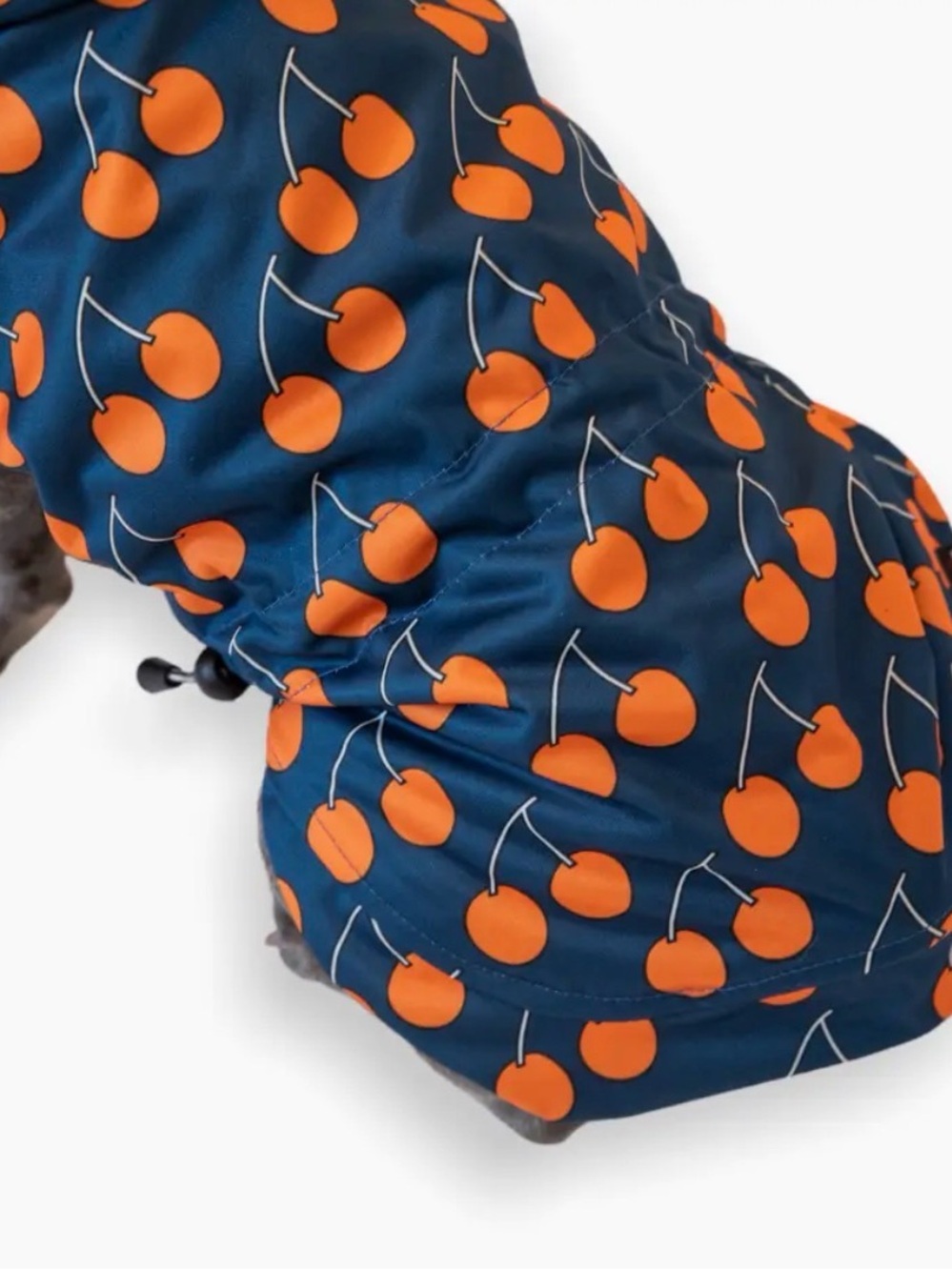Waterproof Dog Raincoat with Orange Cherry Print